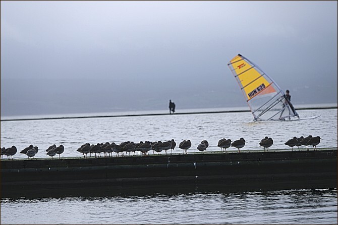 Wet West Kirby